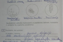 Biologija-10-klasei-24-puslapis