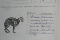 Biologija-10-klasei-30-puslapis