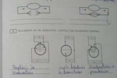 Biologija-10-klasei-61-puslapis