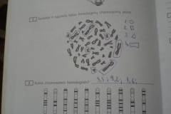 Biologija-10-klasei-66-puslapis1