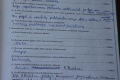 17_12klase_istorija_1_dalis