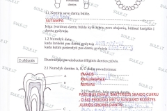 Biologija-7-klasei-1-dalis-24-puslapis