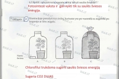 Biologija-7-klasei-1-dalis-31-puslapis
