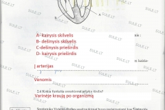 Biologija-7-klasei-1-dalis-37-puslapis1