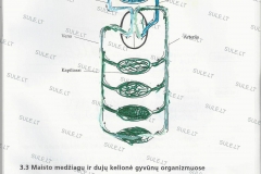 Biologija-7-klasei-1-dalis-39-puslapis