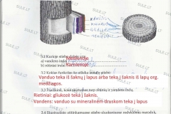 Biologija-7-klasei-1-dalis-43-puslapis1