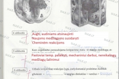 Biologija-7-klasei-1-dalis-50-puslapis1