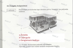 Biologija-7-klasei-1-dalis-52-puslapis