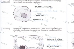 Biologija-7-klasei-1-dalis-6-puslapis