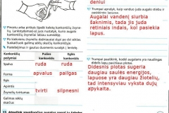 Biologija-8-klasei-19-puslapis