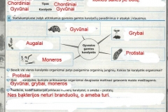Biologija-8-klasei-2-puslapis
