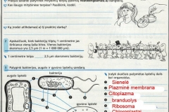Biologija-8-klasei-5-puslapis