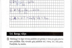 Fizika-VIII-klasei-1-dalis-65-puslapis