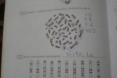 Biologija-10-klasei-66-puslapis