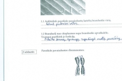 Biologija-7-klasei-1-dalis-42-puslapis