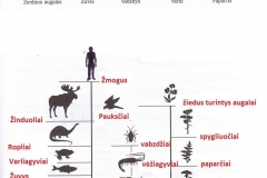 Gamta-ir-zmogus-6-klasei-1-dalis-51-puslapis