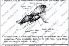 Biologija-ir-sveikata-9-klasei-54-puslapis