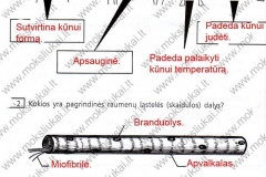 Biologija-ir-sveikata-9-klasei-56-puslapis