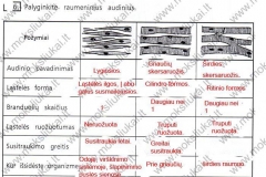 Biologija-ir-sveikata-9-klasei-57-puslapis