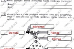 Biologija-ir-sveikata-9-klasei-87-puslapis