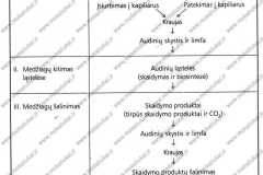 Biologija-ir-sveikata-9-klasei-2-dalis-14-puslapis