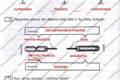Biologija-ir-sveikata-9-klasei-2-dalis-22-puslapis