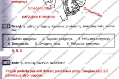 Biologija-ir-sveikata-9-klasei-2-dalis-25-puslapis