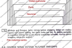 Biologija-ir-sveikata-9-klasei-2-dalis-26-puslapis