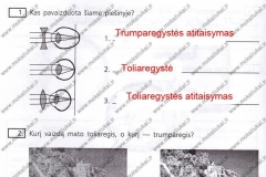 Biologija-ir-sveikata-9-klasei-2-dalis-38-puslapis