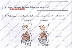 Biologija-ir-sveikata-9-klasei-2-dalis-4-puslapis