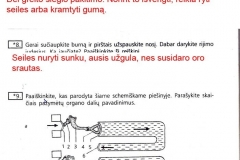 Biologija-ir-sveikata-9-klasei-2-dalis-41-puslapis