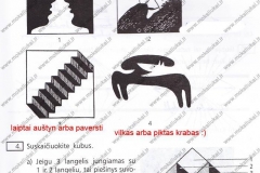 Biologija-ir-sveikata-9-klasei-2-dalis-51-puslapis