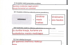 Biologija-9-klasei-2-dalis-16-puslapis