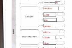 Biologija-9-klasei-2-dalis-19-puslapis