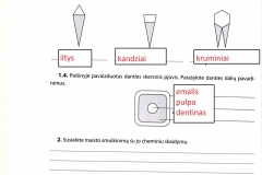 Biologija-9-klasei-2-dalis-20-puslapis