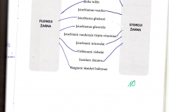 Biologija-9-klasei-2-dalis-23-puslapis