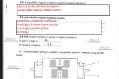 Biologija-9-klasei-2-dalis-41-puslapis