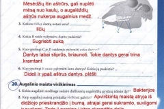 Biologija-tau-9-klasei-23-puslapis