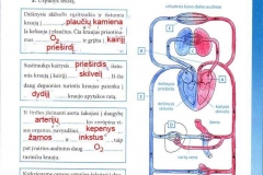 Biologija-tau-9-klasei-33-puslapis