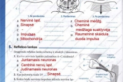 Biologija-tau-9-klasei-42-puslapis