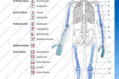 Biologija-tau-9-klasei-51-puslapis