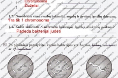Biologija-7-klasei-1-dalis-21-puslapis2