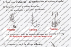 Biologija-7-klasei-1-dalis-34-puslapis1