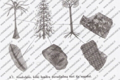 Biologija-7-klasei-1-dalis-36-puslapis1