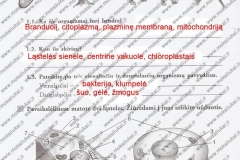 Biologija-7-klasei-1-dalis-4-puslapis