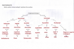 Biologija-7-klasei-2-dalis-59-puslapis