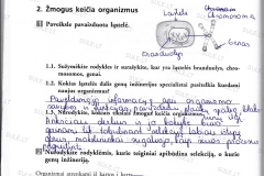 Biologija-7-klasei-2-dalis-62-puslapis