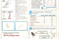 Biologijos-pratybos-7-klasei-1-puslapis