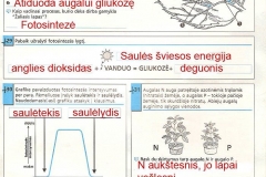Biologijos-pratybos-7-klasei-11-puslapis