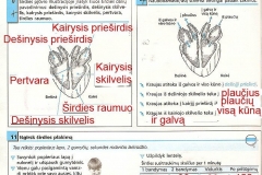 Biologijos-pratybos-7-klasei-14-puslapis